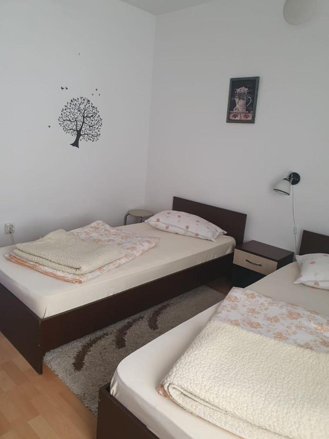 Casa Ana Lejlighed Cluj-Napoca Eksteriør billede