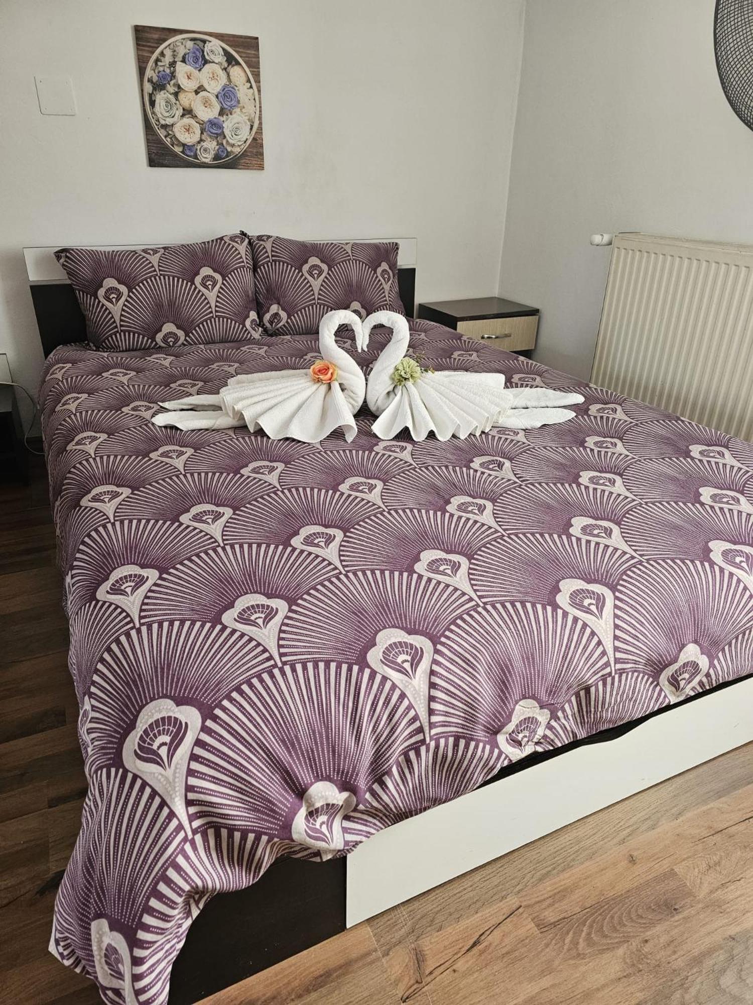 Casa Ana Lejlighed Cluj-Napoca Eksteriør billede